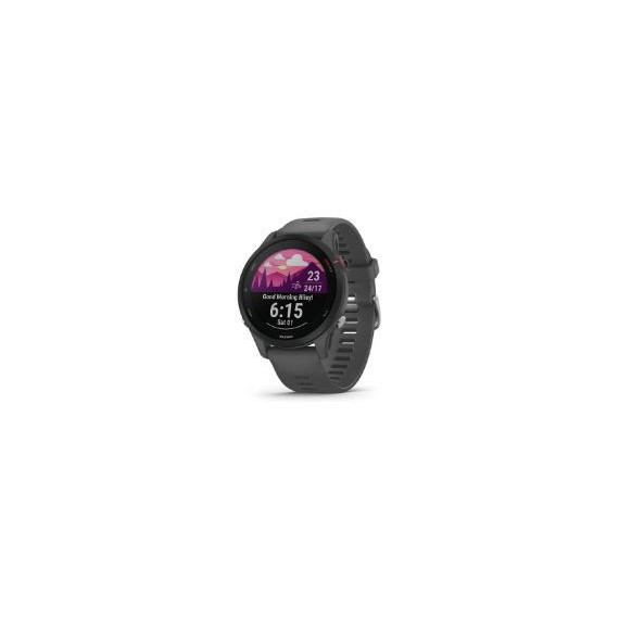 Smartwatch GARMIN Forerunner 255 Gris (010-02641-10)