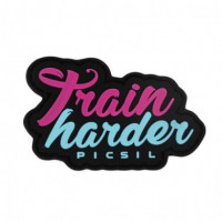 Train Harder  PICSIL