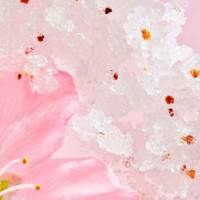 The Ritual Of Sakura Sugar Body Polish Exfoliante Corportal  RITUALS