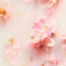 The Ritual Of Sakura Refill Body Cream (refill)  RITUALS