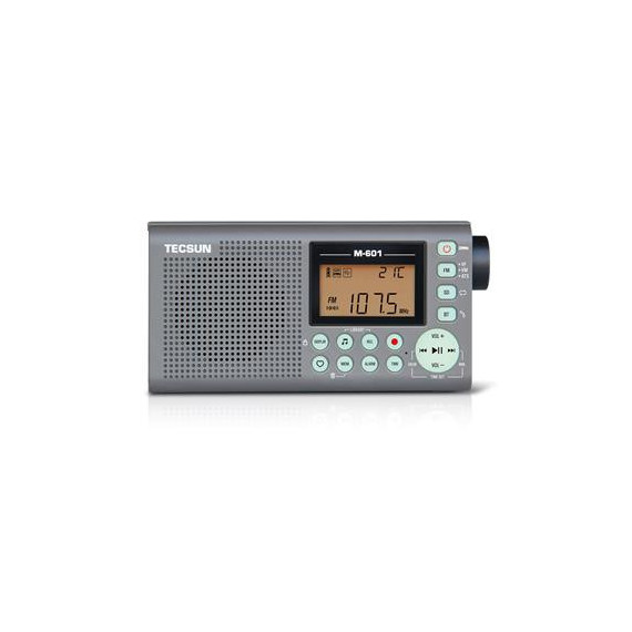 TECSUN Radio Digital Fm M-601 con Funcion Grabacion/bluetooth/micro SD/100 Memorias