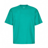 Camisetas Hombre Camiseta COLORFUL STANDARD Oversize Tropical Sea