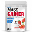 Mass Gainer New Formula QUAMTRAX - 2,8 Kg