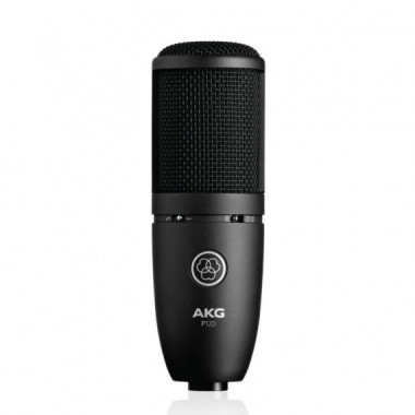 AKG P120