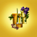 CLARINS Tratamiento Reequilibrante: Rostro Plant Gold Face Cream, 35ML