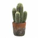 Cactus Realista en Maceta de Terracota 31 Cm. Essentials®  ESSENTIALS