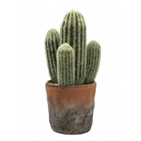 Cactus Realista en Maceta de Terracota 31 Cm. Essentials®  ESSENTIALS