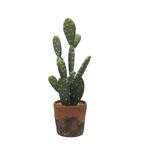 Cactus Realista en Maceta de Terracota 46 Cm. Essentials®  ESSENTIALS