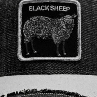 Gb Gorra 101-1283 Blk tu Silky Sheep Black  GOORIN BROS
