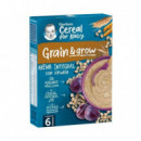 Gerber Papilla Avena Integral y Ciruelas 6M 250G  NESTLE NUTRITION