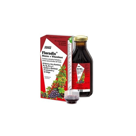 Floradix Hierro + Vitaminas 500 Ml Salus  SALUS FLORADIX