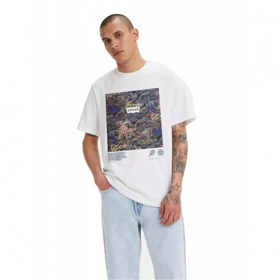 Ss Relaxed Fit Tee Bw Decay Vw Neutrals LEVIS