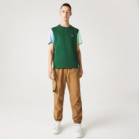 Tee-shirt Vert/panorama-ash  LACOSTE