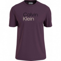 Bt_multi Color Logo T-shirt Italian Plum  CALVIN KLEIN