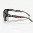 Gafas OAKLEY Holbrook Troy Lee Designs Series