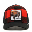 Gorra 'the Buffalo'  GOORIN BROS