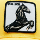 Gorra 'the Stallion'  GOORIN BROS