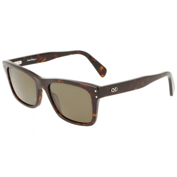 Gafas Ferragamo SF1039S 240  SALVATORE FERRAGAMO