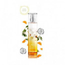 CAUDALIE SOLEIL DES VIGNES AGUA FRESCA 50 ML