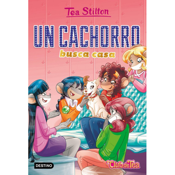 Tea Stilton Vr 35 un Cachorro Busca Casa Tea Stilton Vr 35 un Cachorro Busca Casa