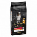 Pplan Dog Ad. Medium Pollo 14 Kg  PROPLAN