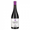 Magnético 2021 - 75CL  BODEGAS VIÑEDOS VERTICALES