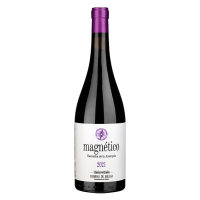 Magnético 2021 - 75CL  BODEGAS VIÑEDOS VERTICALES