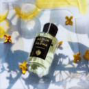 Signatures Of The Sun Osmanthus Edp  ACQUA DI PARMA