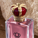 Q By D&g Edp  DOLCE & GABBANA