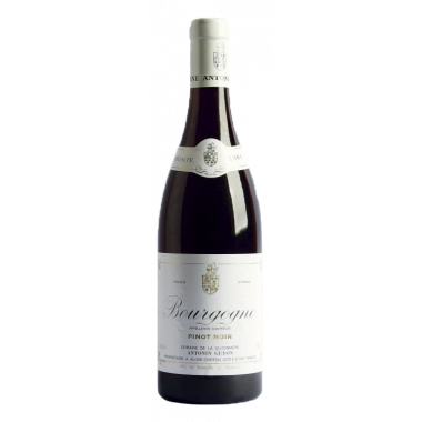 ANTONIN GUYON Bourgogne Pinot Noir 2022 - 75CL