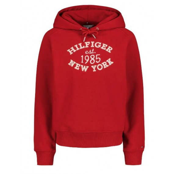 TOMMY HILFIGER - Mdrn Reg Varsity Hoodie - Xnn - F|WW0WW42098/XNN