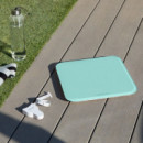 Surface Precision 9350 Healthy Mint  CECOTEC