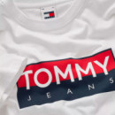 Camiseta Regular Entry  TOMMY HILFIGER