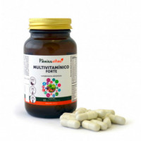 Multivitamínico Forte Pv (60 Cápsulas)  PAMIES VITAE