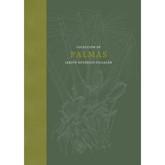 Palmas