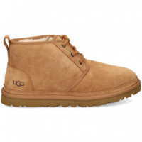 Botin Cordon ante Cuero  UGG