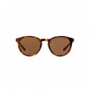 Polo RALPH LAUREN  Glasses PH4110-513473