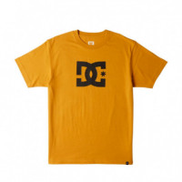 Camiseta Star  DC