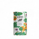 LOEWE Paula's Ibiza Eclectic Eau de Toilette