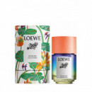 LOEWE Paula's Ibiza Eclectic Eau de Toilette