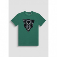 Camiseta  Verde Erba Junior  ANTONY MORATO