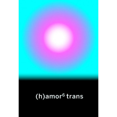 (h)amor 6 trans