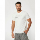 Divo Cn T-shirt Salt White  GUESS