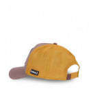 Gorra de Groot  CAPSLAB