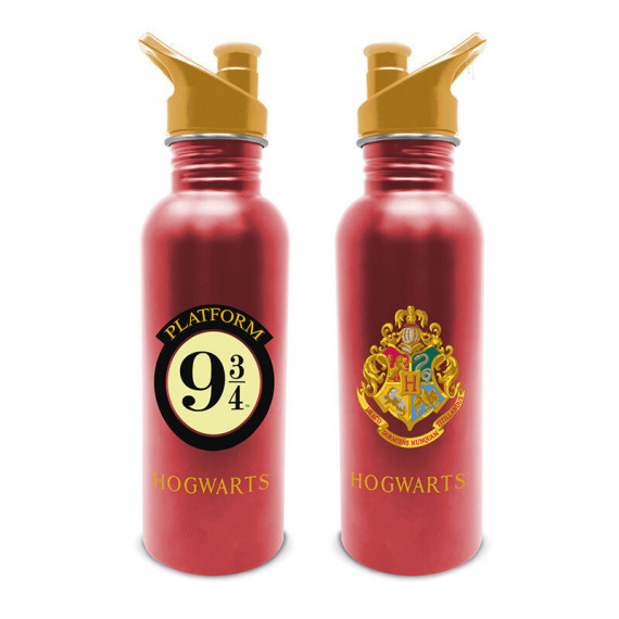 BOTELLA CANTIMPLORA METALICA HARRY POTTER ANDEN P 3