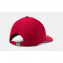 Gorra Jordan Jan Metal Jumpman Curve Brim Rojo  JORDAN AIR