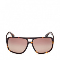 Gafas de Sol TB00031  TIMBERLAND