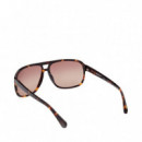 Gafas de Sol TB00031  TIMBERLAND