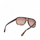 Gafas de Sol TB00031  TIMBERLAND