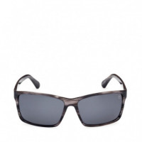 Gafas de Sol TB00032  TIMBERLAND